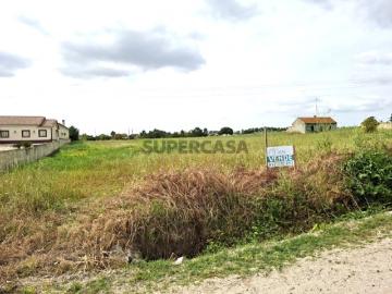 Lote de Terreno 7200m Foros de Salvaterra