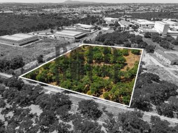 Lote Industrial Venda em Vila Chã de Ourique,Cartaxo