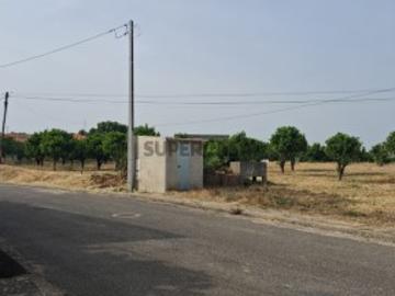 Lote para construção Cartaxo