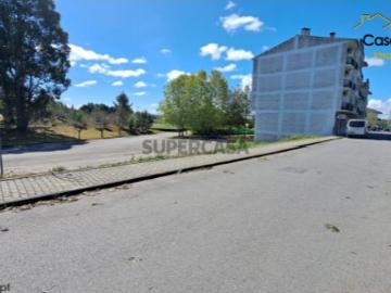 Lote