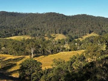 Peace and privacy in the upper Macleay