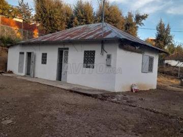 Maison de montagne habitable avec 1500m² de terrain clôturé