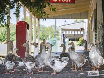 Malmsbury's Best Position and Convenience