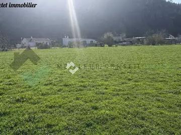 Massiac 15500 Achat / Vente terrain