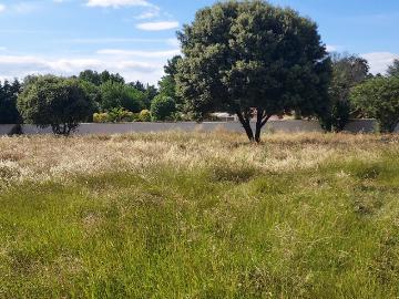 Maubec Vente Terrain 84