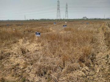 Mira Road East Residential Plot For Sale Mira Bhayandar