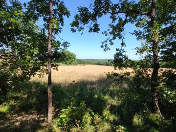 Montaigu de Quercy Vente Terrain 82