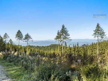 Naturnaher Wohntraum mit Bergblick, Terrasse & großem...