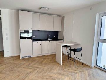Neubau! 1 Zimmer möbliert mit EBK + Balkon +...