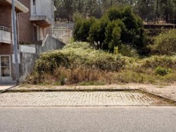 O LOTE QUE REÚNE TUDO O QUE PROCURA