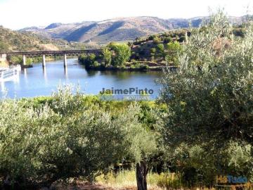 Olival em 400.000m2, perto rio Douro, região de Ligares,...