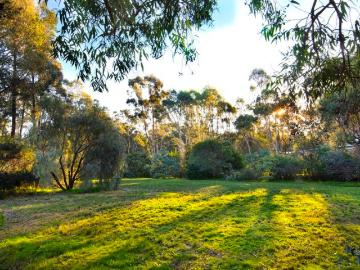 One Acre of opportunity in a peaceful country setting