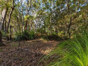 Outstanding Acreage Opportunity in Peregian Beach