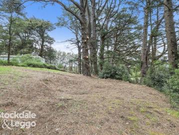 PEACEFUL BUSH RETREAT IN A CONVENIENT LOCATION