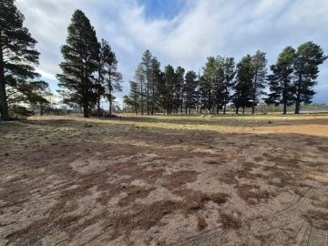 Peaceful Coastal Acreage just a short stroll to Nine...