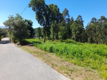 Poiares Terreno
