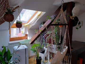 Provisionsfreie WG taugliche Dachgeschosswohnung mit...