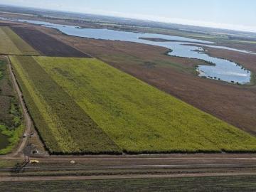 Productive Burdekin Irrigation Farm with Water Security...
