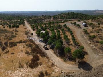 ECO RESORT FLORESTAL | 9,16 ha | Alcoutim, Algarve