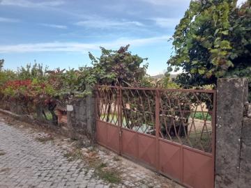 Prédio Rustico em Cepões, Lamego
