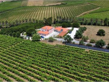 Prestigiosa casa de 470 m² à venda Torres Vedras, Portugal
