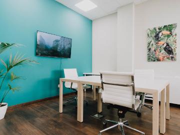 Private Offices in San Pedro/Marbella