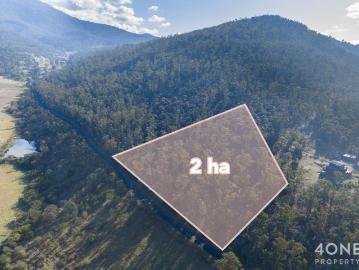 Second Chance: Dromedary Land Back on Market