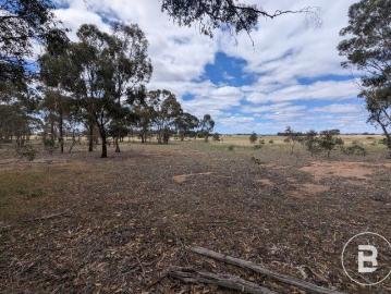 PRIME GOLDFIELDS FARMING ALLOTMENT: EXPANSIVE ACREAGE...