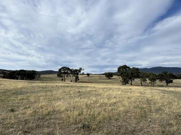 Pyrenees Acreage Lifestyle Opportunity