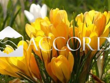 Quadrilocale con giardino a Susegana