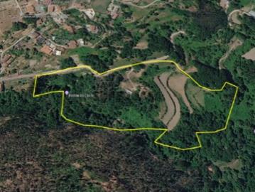 Quinta +/ 42.000 m2 Oliveira de Frades