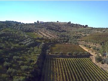 Quinta de 15Ha