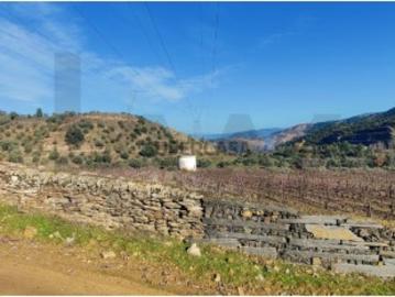 Quinta Vitivinícola de 5 Hectares Douro Superior