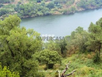Quintas e casas rústicas T1 em Souselo