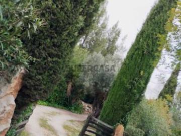 Quintas e casas rústicas T5 em Luz de Tavira