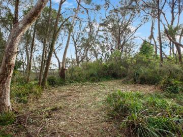 Rare Large Bush Block in Prime Katoomba Location A Rare...