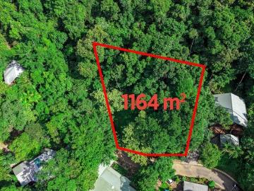 Rare Rainforest Landholding