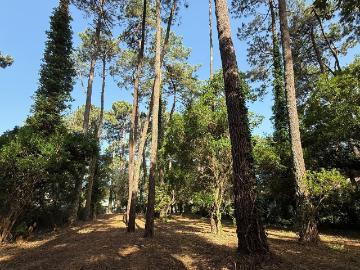 Rare Terrain constructible 1435 m2