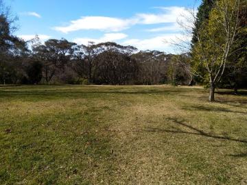 RARE USABLE ACRES