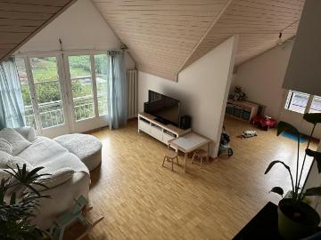 Rent a 3 ½ rooms apartment in Affoltern am Albis Flatfox