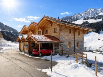 Rent a 3 ½ rooms apartment in Jaun Flatfox