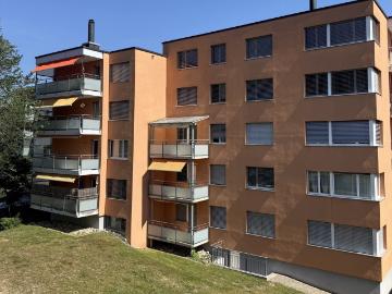 Rent a 3 ½ rooms apartment in Langwiesen Flatfox