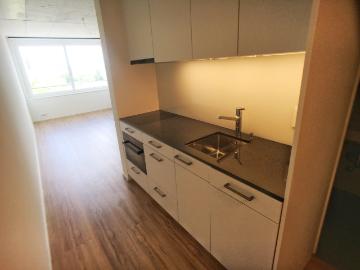 Rent a 1 room apartment in Bern Flatfox