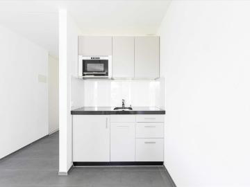 Rent a 1 room apartment in Chur Flatfox