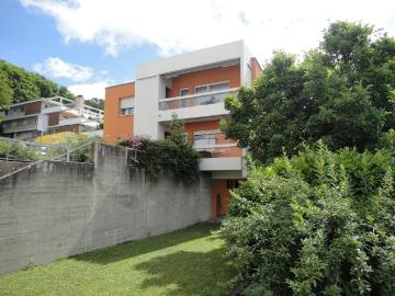 Rent a 2 rooms apartment in Oberengstringen Flatfox