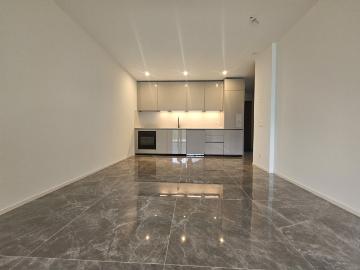 Rent a 2 ½ rooms apartment in Lumino Flatfox