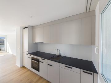 Rent a 4 ½ rooms duplex in Eggersriet Flatfox