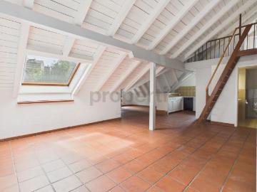 Rent a 4 ½ rooms roof flat in Beringen Flatfox