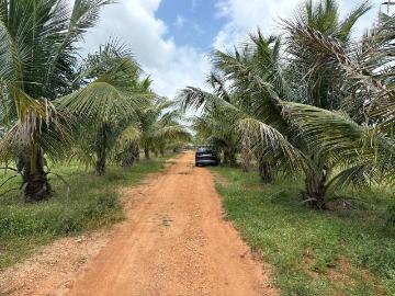 Residential Plot in Maheshwaram for resale Hyderabad....