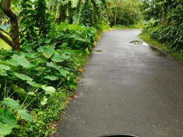 Residential Plot in Natagachi for resale Kolkata. The...